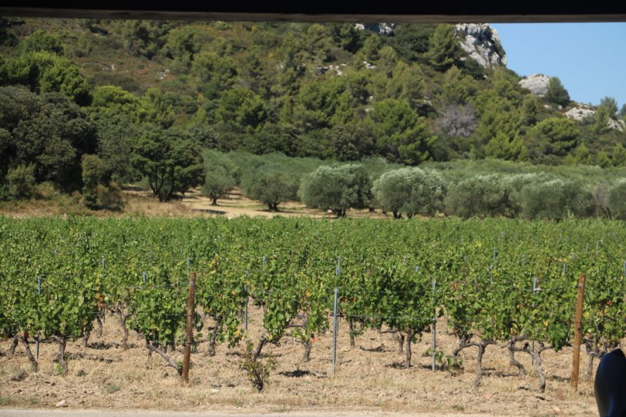 manipura living rødvinseddike fra vinmarker chateau d'estoublon