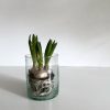 Lysestage / Vase - Casablanca Klar H15 cm