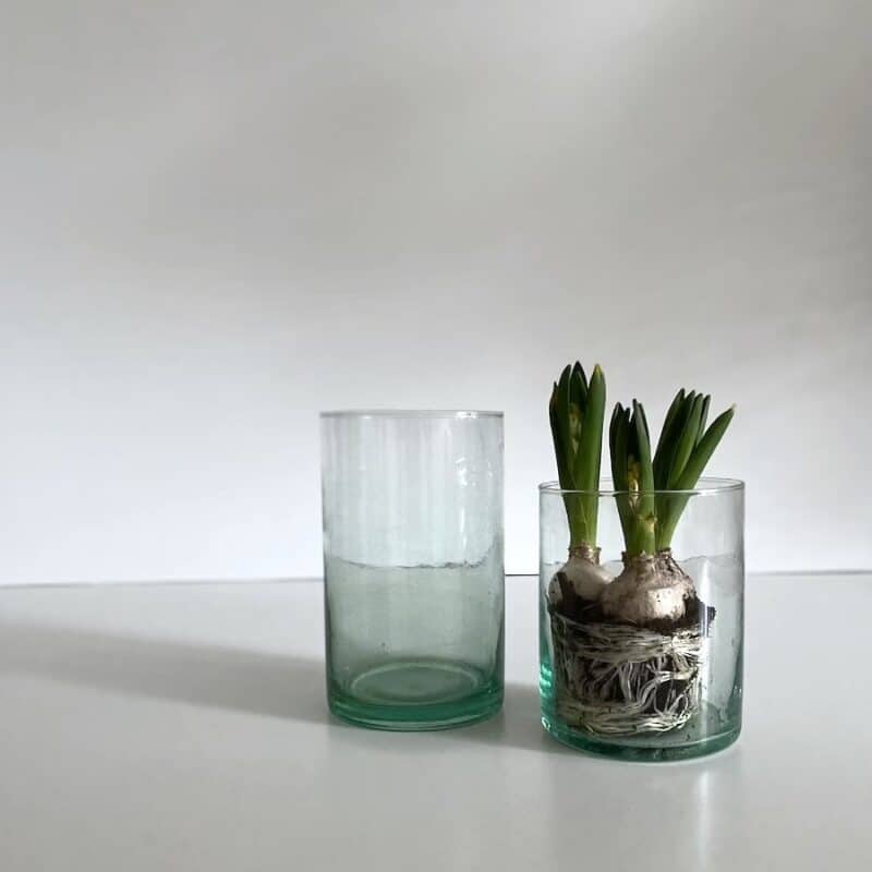 Lysestage / Vase - Casablanca Klar H20 cm - Billede 2