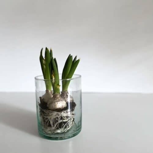 Lysestage / Vase - Casablanca Klar H15 cm