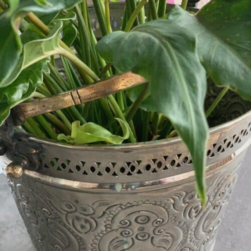 Vintage Hammam spand - Urtepotteskjuler - H30